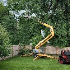 Best Tree Health Inspection  in Weeping Water, NE