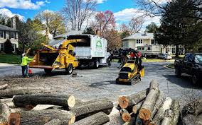 Best Seasonal Cleanup (Spring/Fall)  in Weeping Water, NE